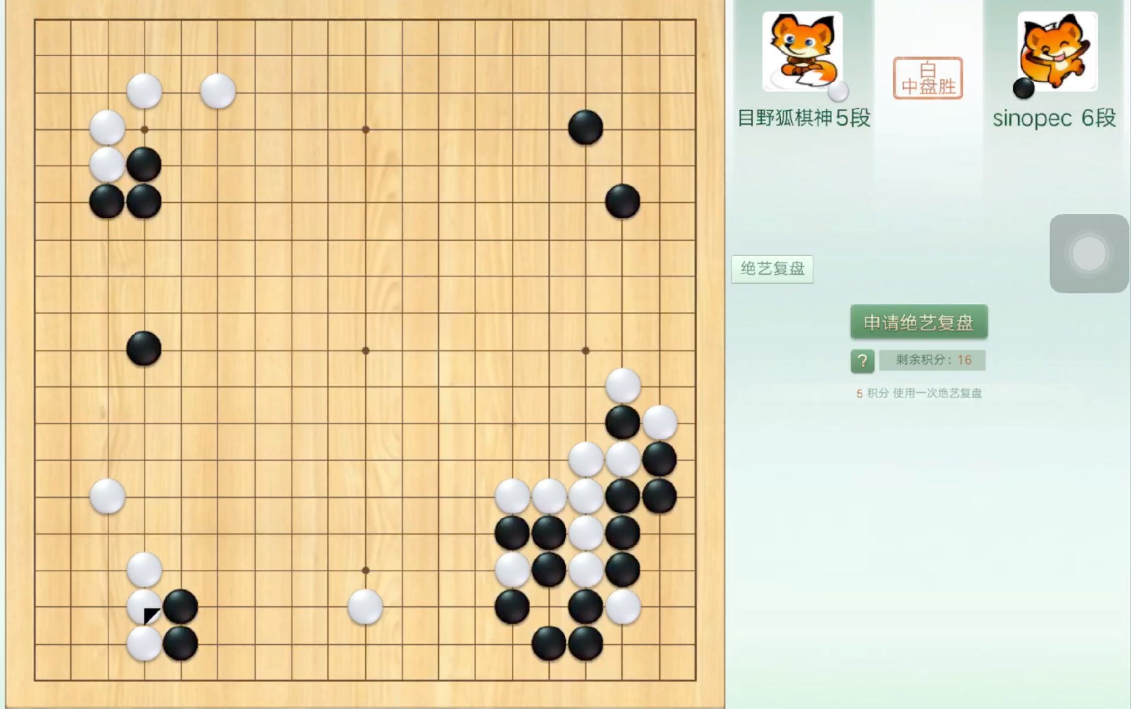 [图]围棋思想家vs目野狐棋神 观赛有感