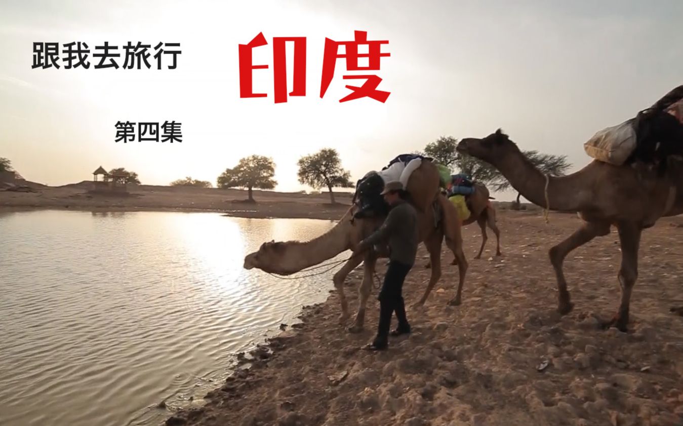 跟谷岳去旅行印度篇第4集穿越沙漠绝境疯狂寻水源