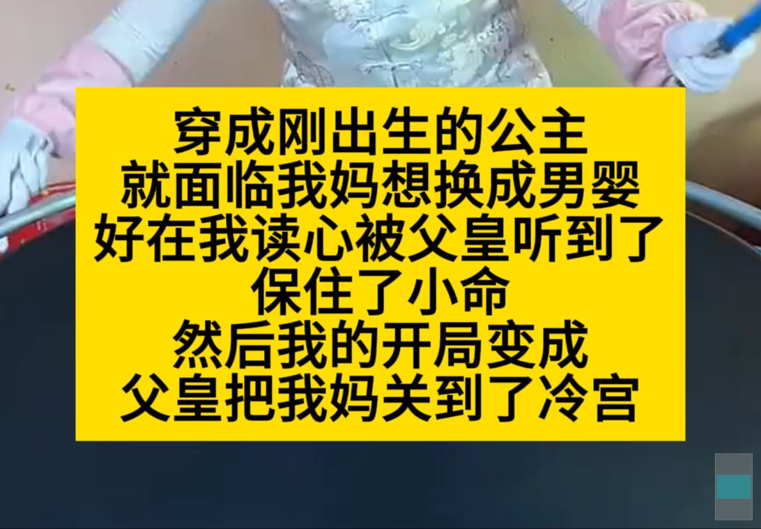 穿成刚出生的公主,就面临我妈想换成男婴,好在我的心声被父皇听到了,小说推荐哔哩哔哩bilibili