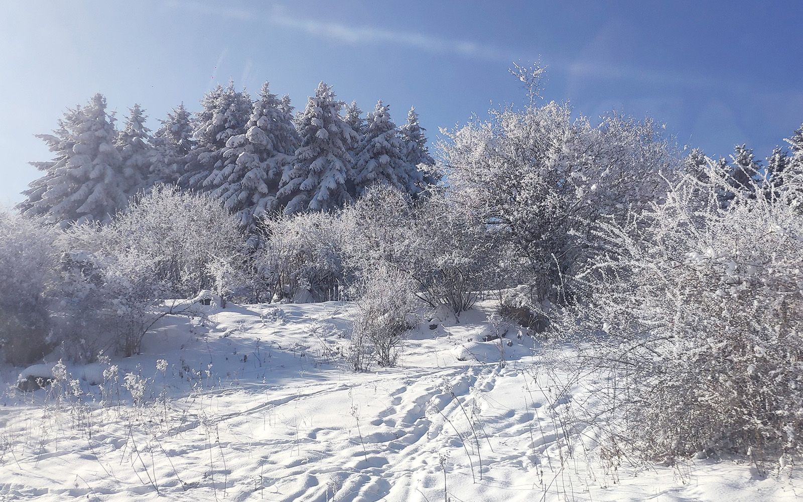 【滑雪赏景】谁说南方的孩子不能玩雪!哔哩哔哩bilibili