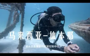 Video herunterladen: 环球旅行1502天：今天开始AOW潜水课程，顶尖中性浮力，海底倒立