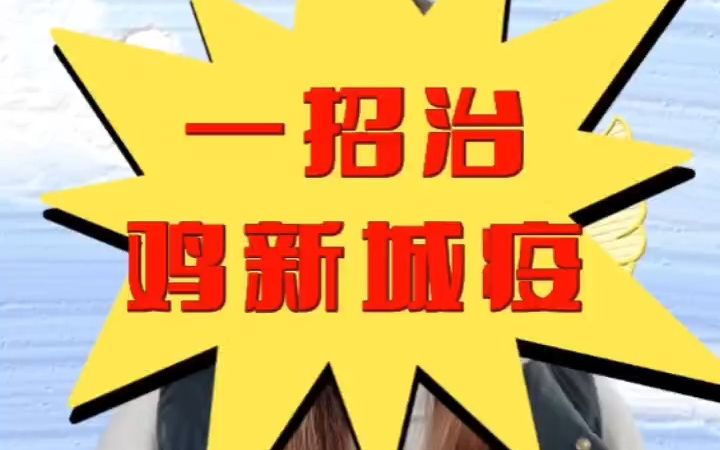 一招治鸡新城疫 鸡精神不振嗜睡是什么原因?鸡打盹不精神怎么办?养的鸡精神不振、嗜睡、头颈震颤、站立不稳是什么原因?鸡精神沉郁的原因及防治措施...