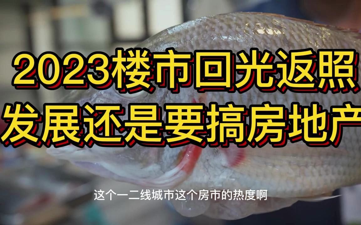 2023楼市再度沸腾,发展还要搞房产哔哩哔哩bilibili