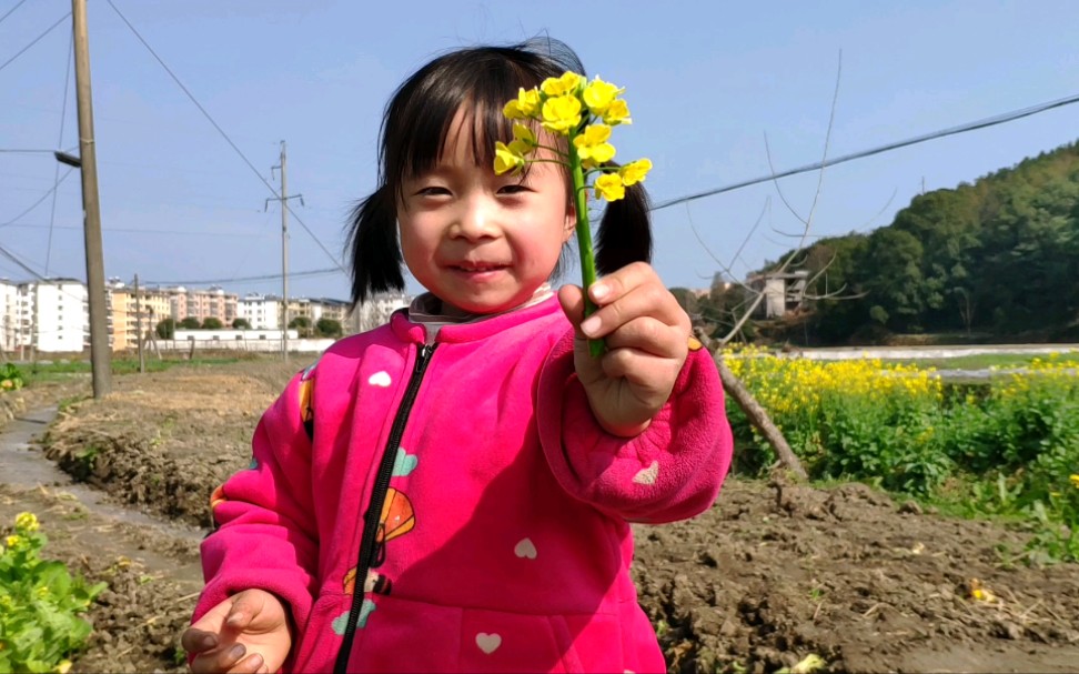 [图]送你一朵油菜花《小红花》致敬赵英俊