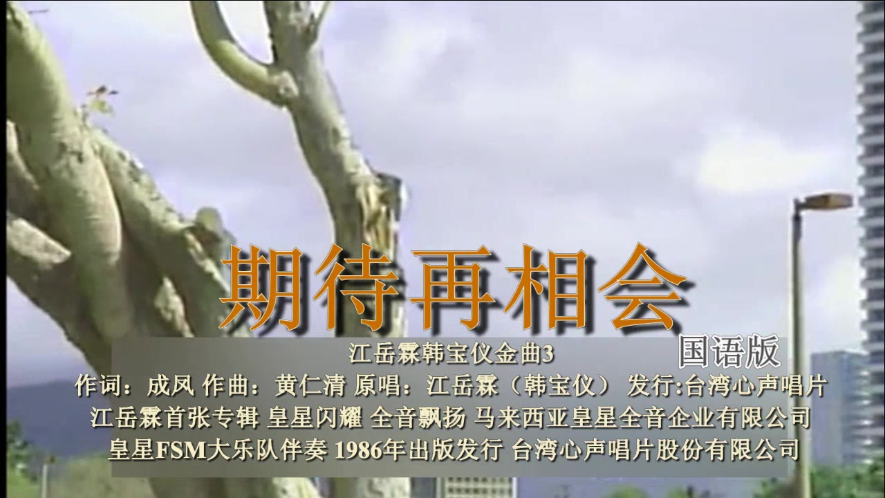 [图]韩宝仪 期待再相会 国语版 江岳霖 80年代早期国语经典怀旧金曲流行老歌 再会再会难分难离难舍弃 美好时光留不住千言万语向谁诉