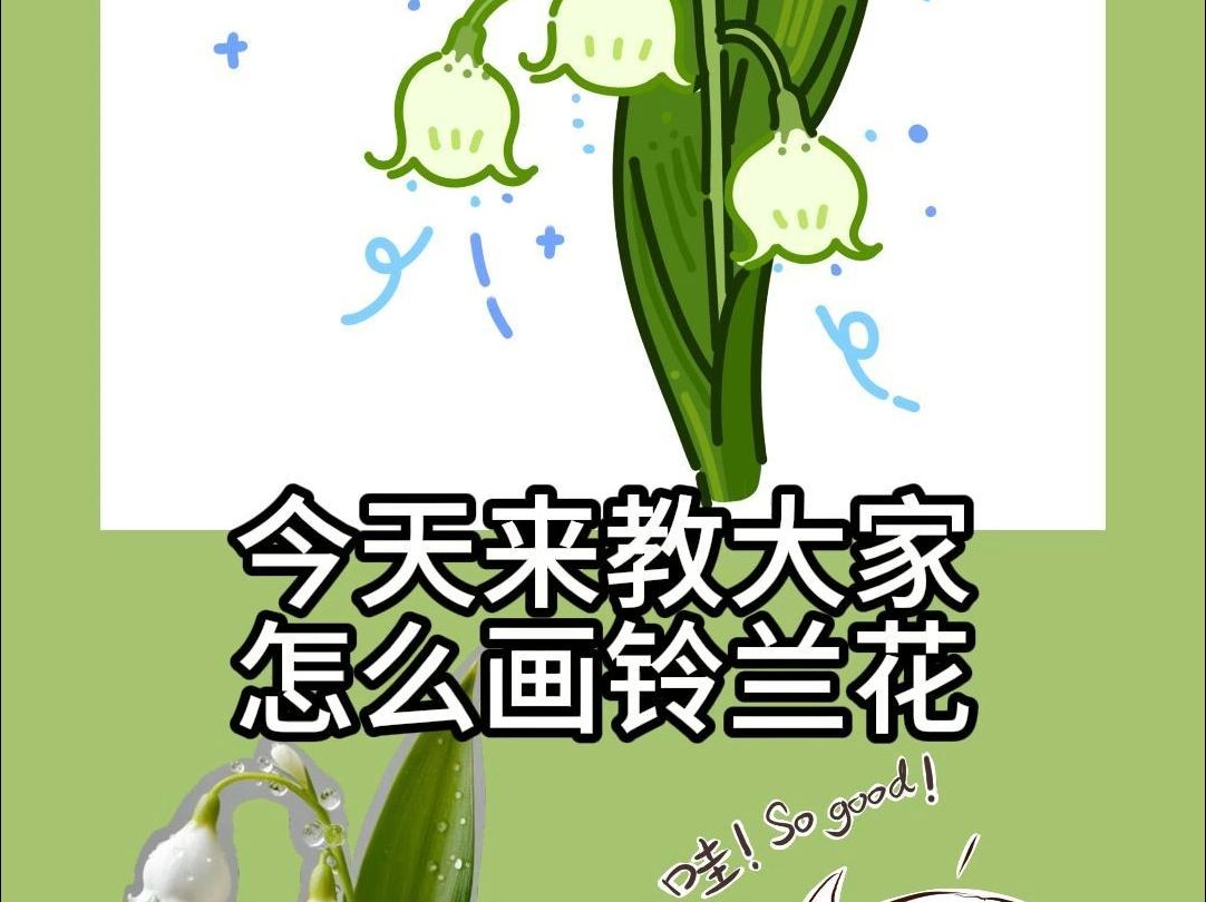 【铃兰花】今天大力老师教大家怎么画铃兰花哔哩哔哩bilibili