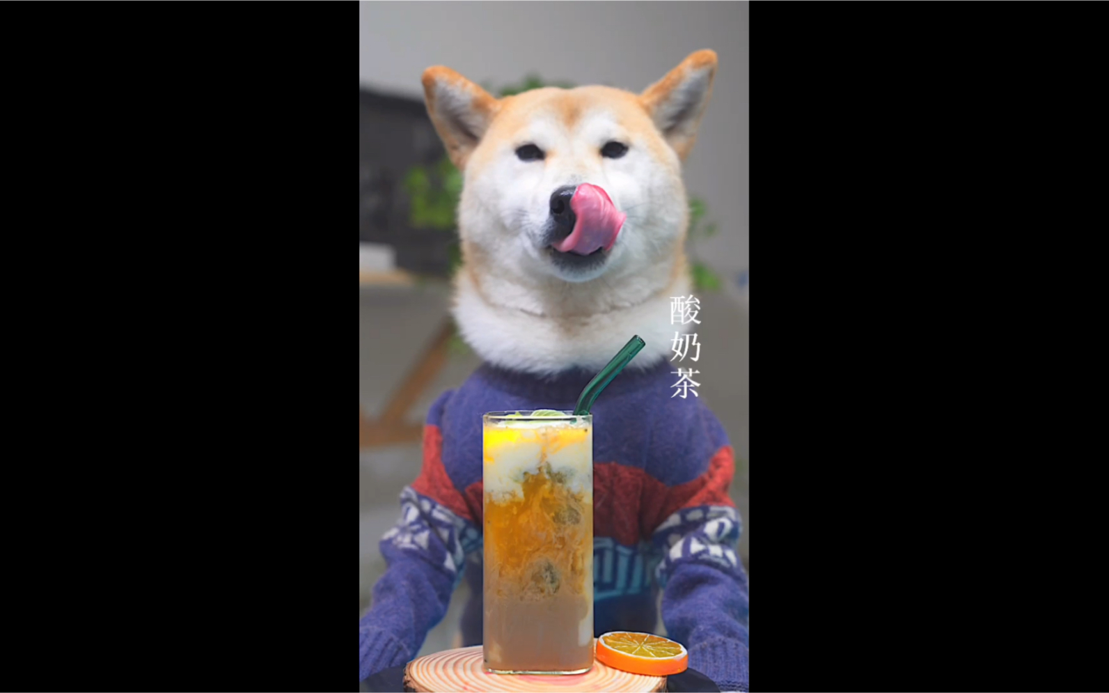 狗子做的奶茶
