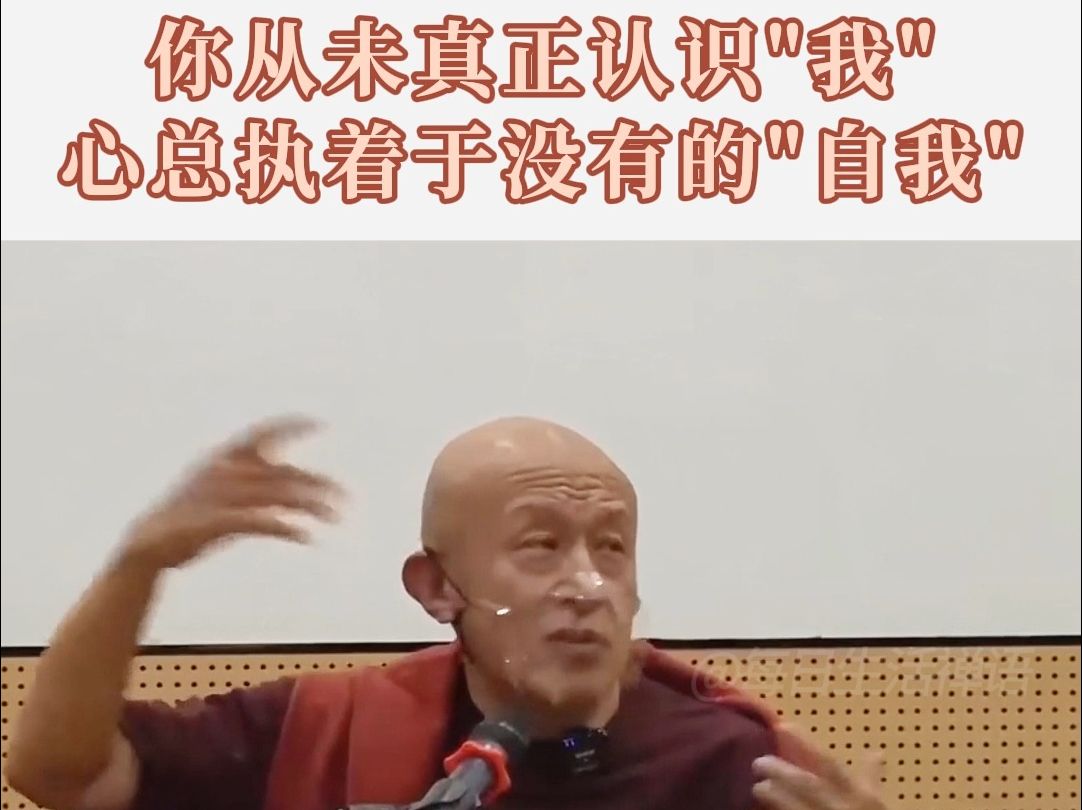 感受下宗萨仁波切幽默智慧的开示:你的不安全感来源于你从未真正认识“自我”哔哩哔哩bilibili