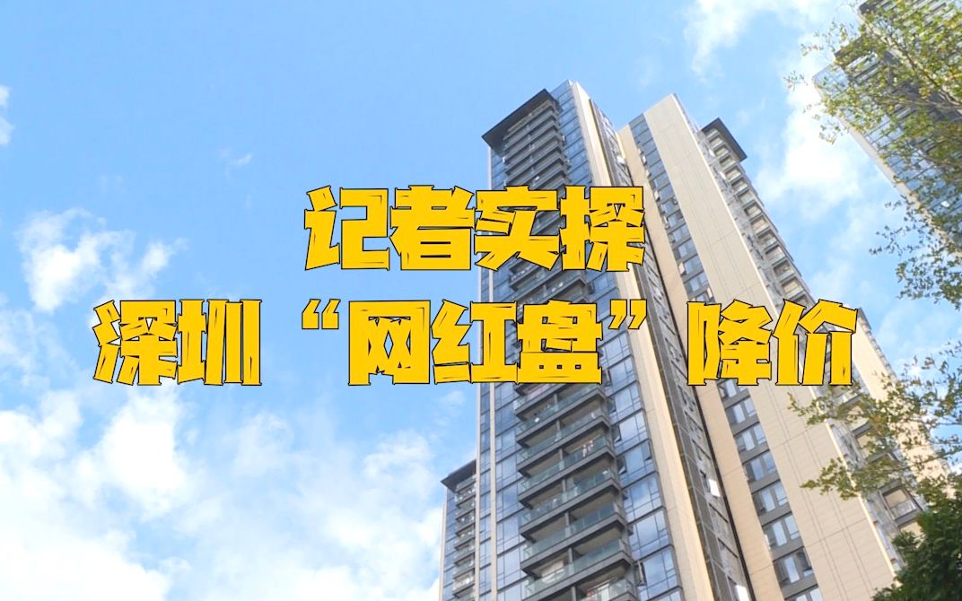 “降了300万” 记者实探深圳“网红盘”降价 业内称仍有空间哔哩哔哩bilibili