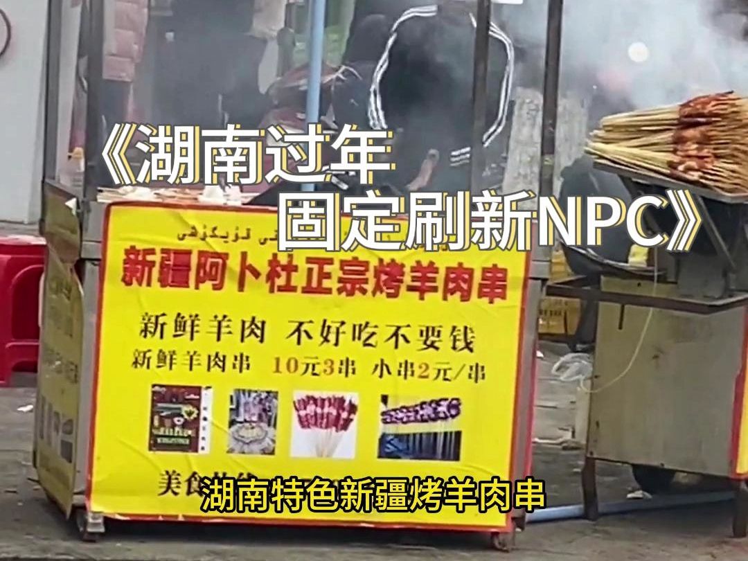 《湖南过年固定刷新NPC》哔哩哔哩bilibili