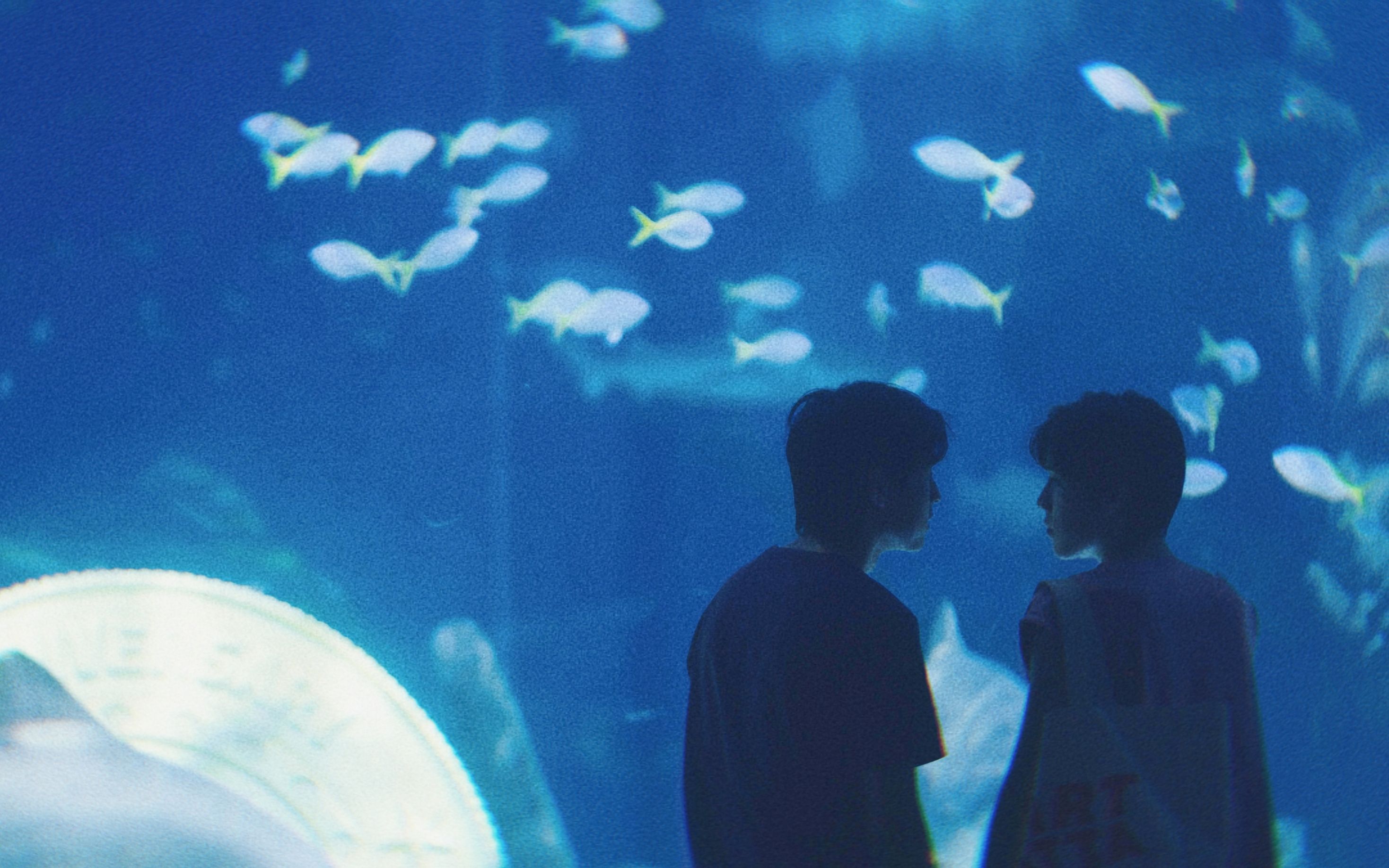 【bkpp/kinkrit】"她说当你听这段话的时候我要看着你,然后回去告诉她