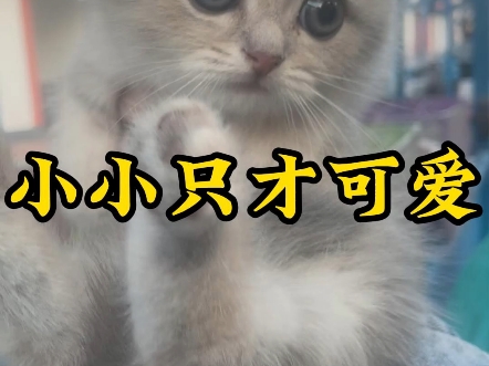 【瓜皮的id酱ss】最新视频已上线,快来围观!