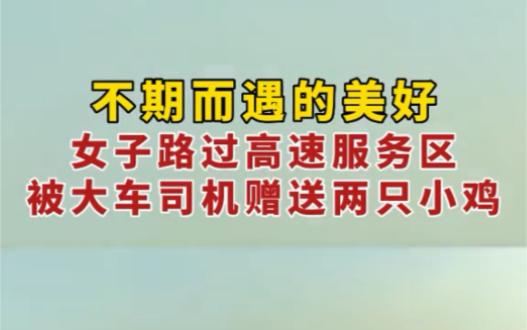 1月24日,山东淄博.女子高速服务区遇一车小鸡,司机随手赠送两只“不期而遇的小美好”.哔哩哔哩bilibili