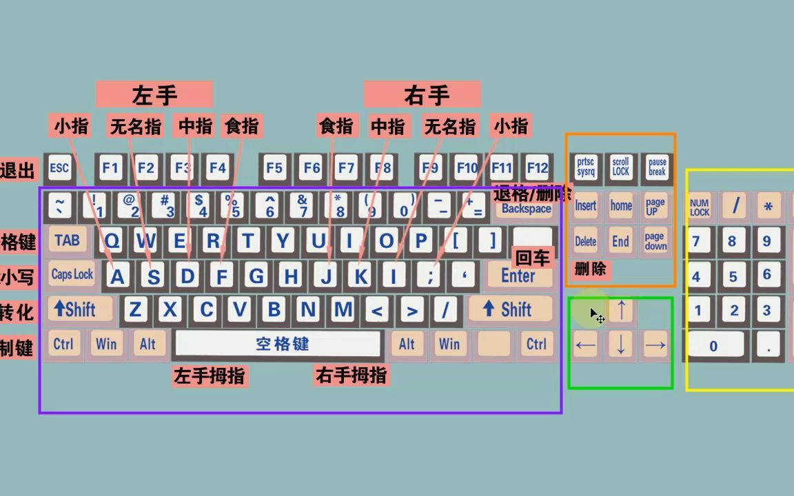 零基础快速学拼音学五笔打字教程,键盘打字快速入门