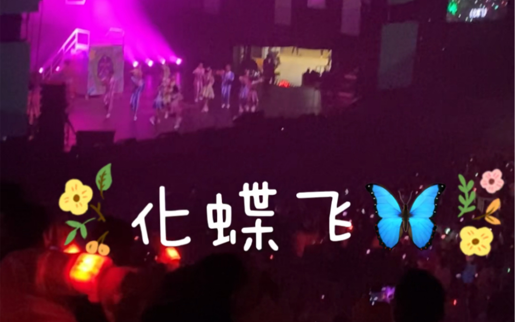 大张伟南京演唱会-化蝶飞