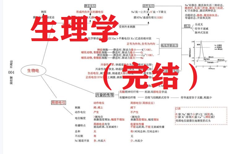 01吴在望2022逆袭营生理学绪论哔哩哔哩bilibili