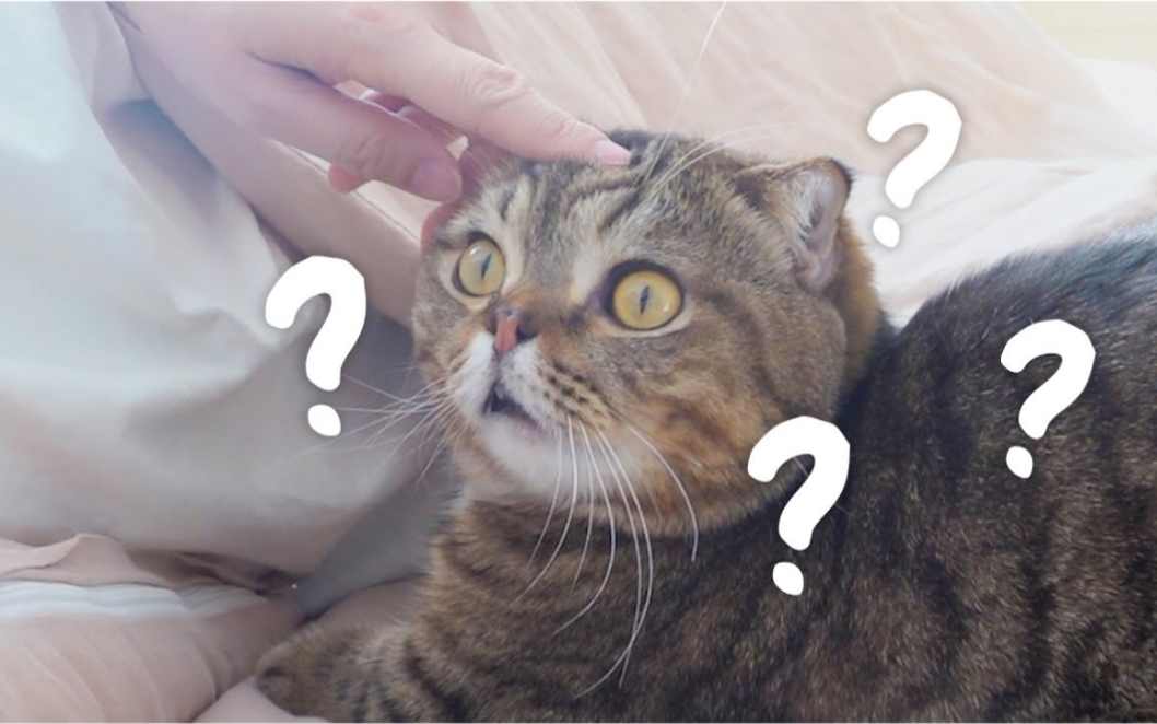 creamheroes中字lulu太可爱了忍不住用零食逗他kkk