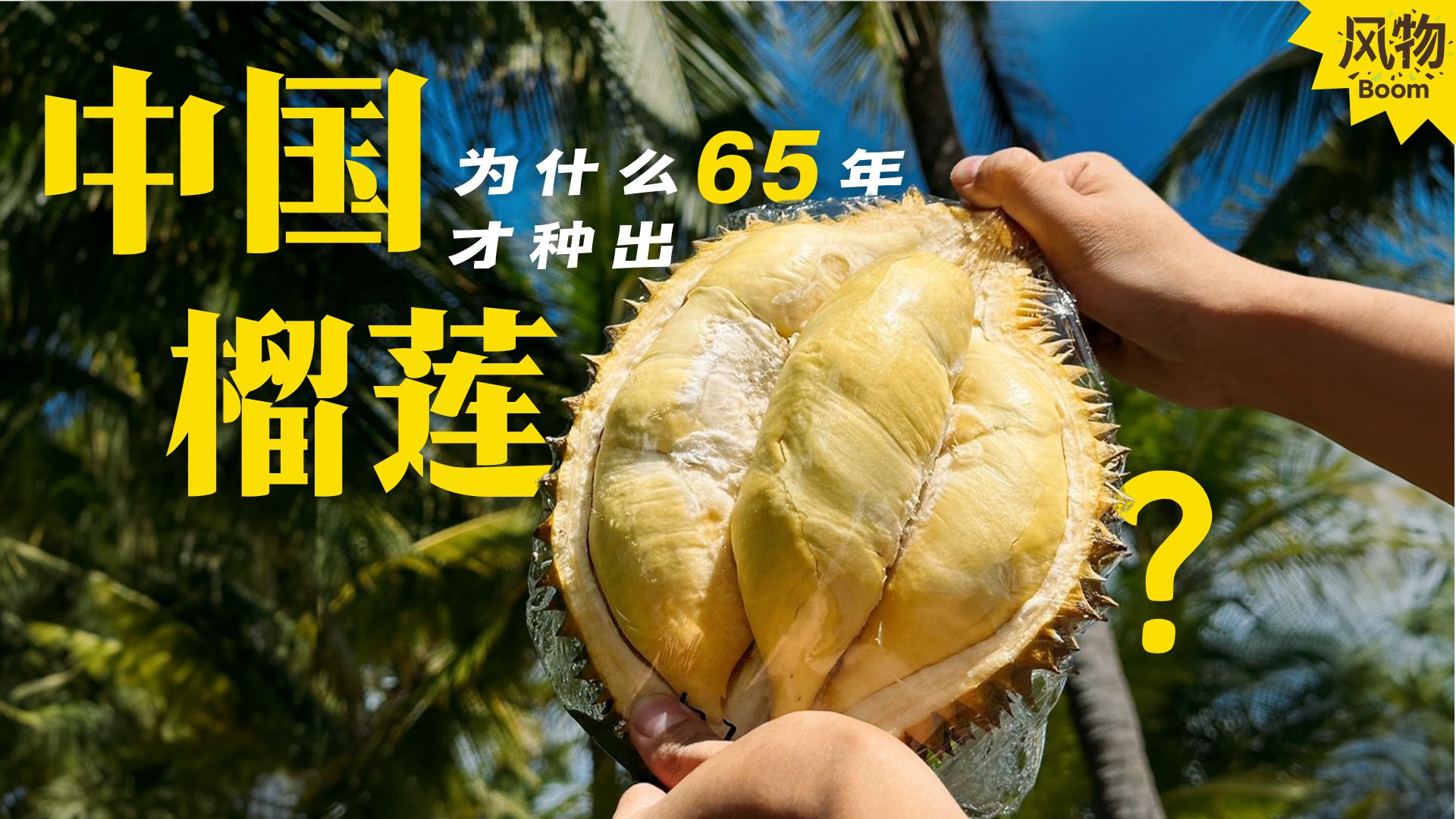 一部跨越65年的中国榴莲种植史