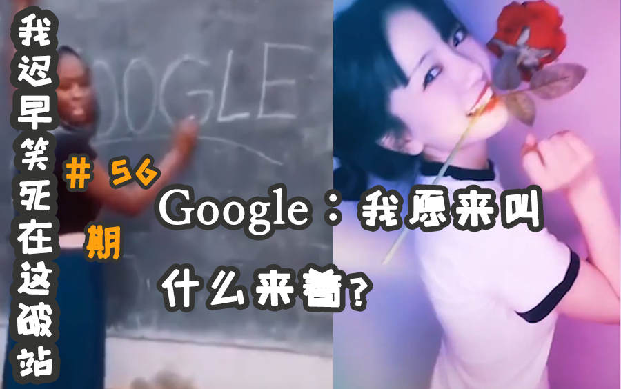 Google:我原来叫什么来着?近期网络上笑到爆炸的沙雕视频 #56哔哩哔哩bilibili