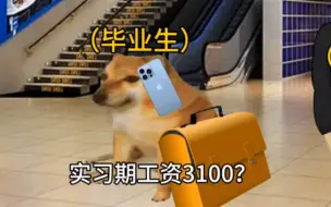 毕业生找工作现状