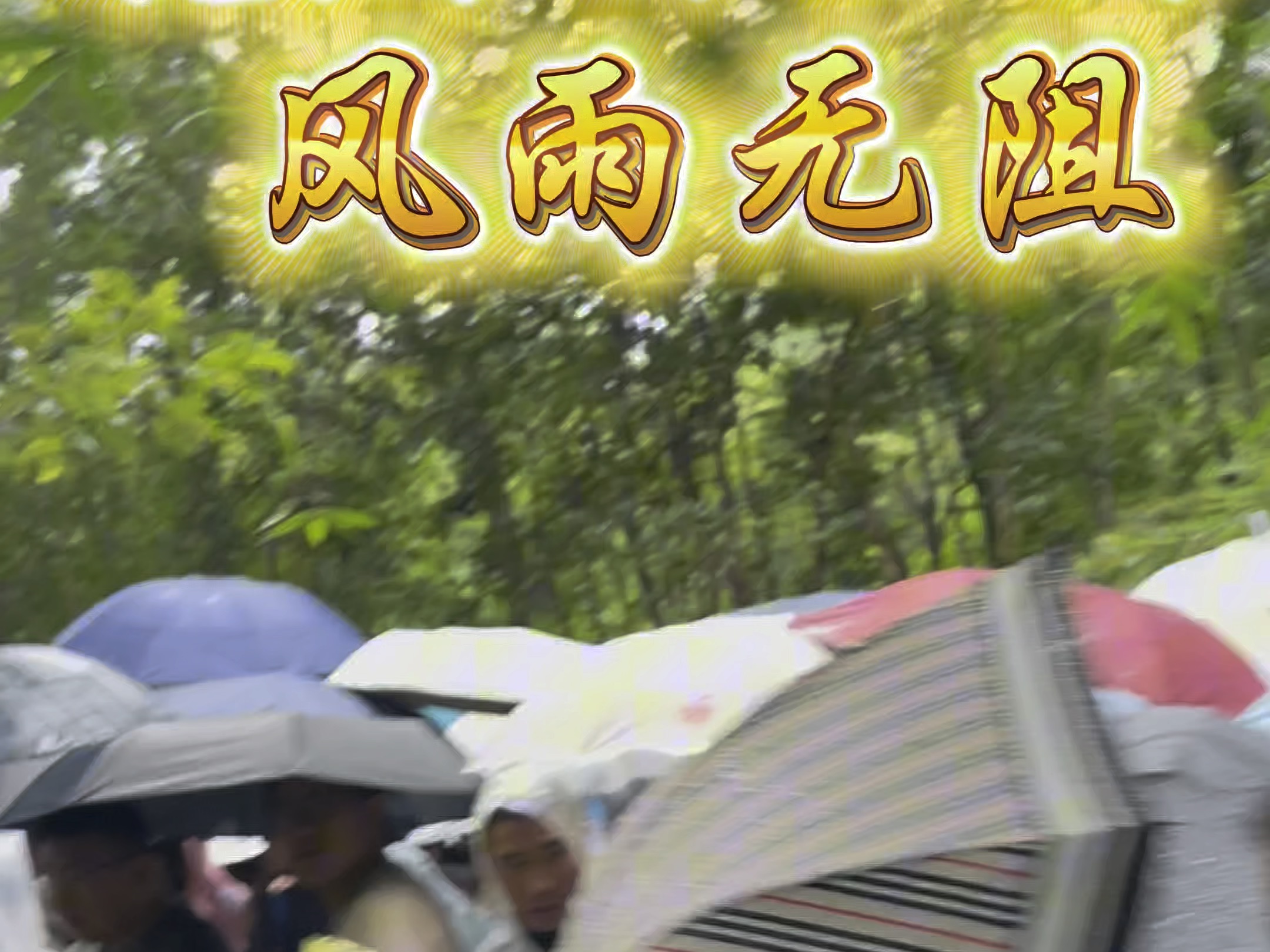 风雨无阻,人山人海这就是花局叶秘