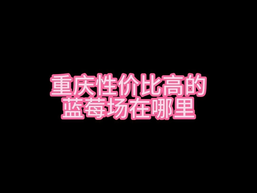 重庆商务ktv性价比高的蓝莓场哔哩哔哩bilibili