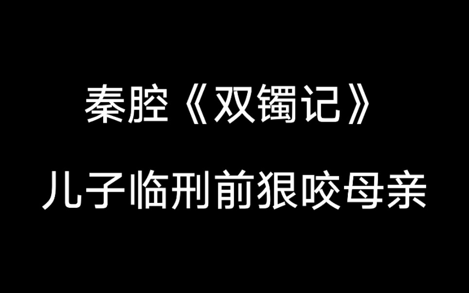 【秦腔】《双镯记》又名《双母记》论正确教育孩子的重要性…引人深思哔哩哔哩bilibili