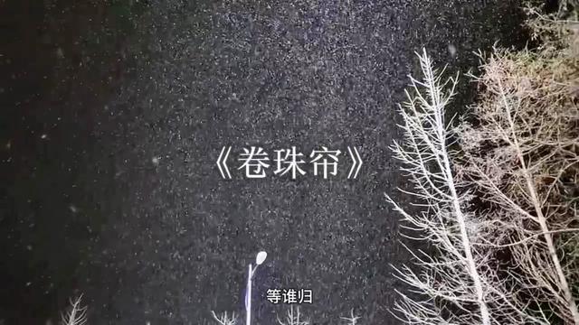 她眷恋梨花泪 静画红妆等谁归.哔哩哔哩bilibili