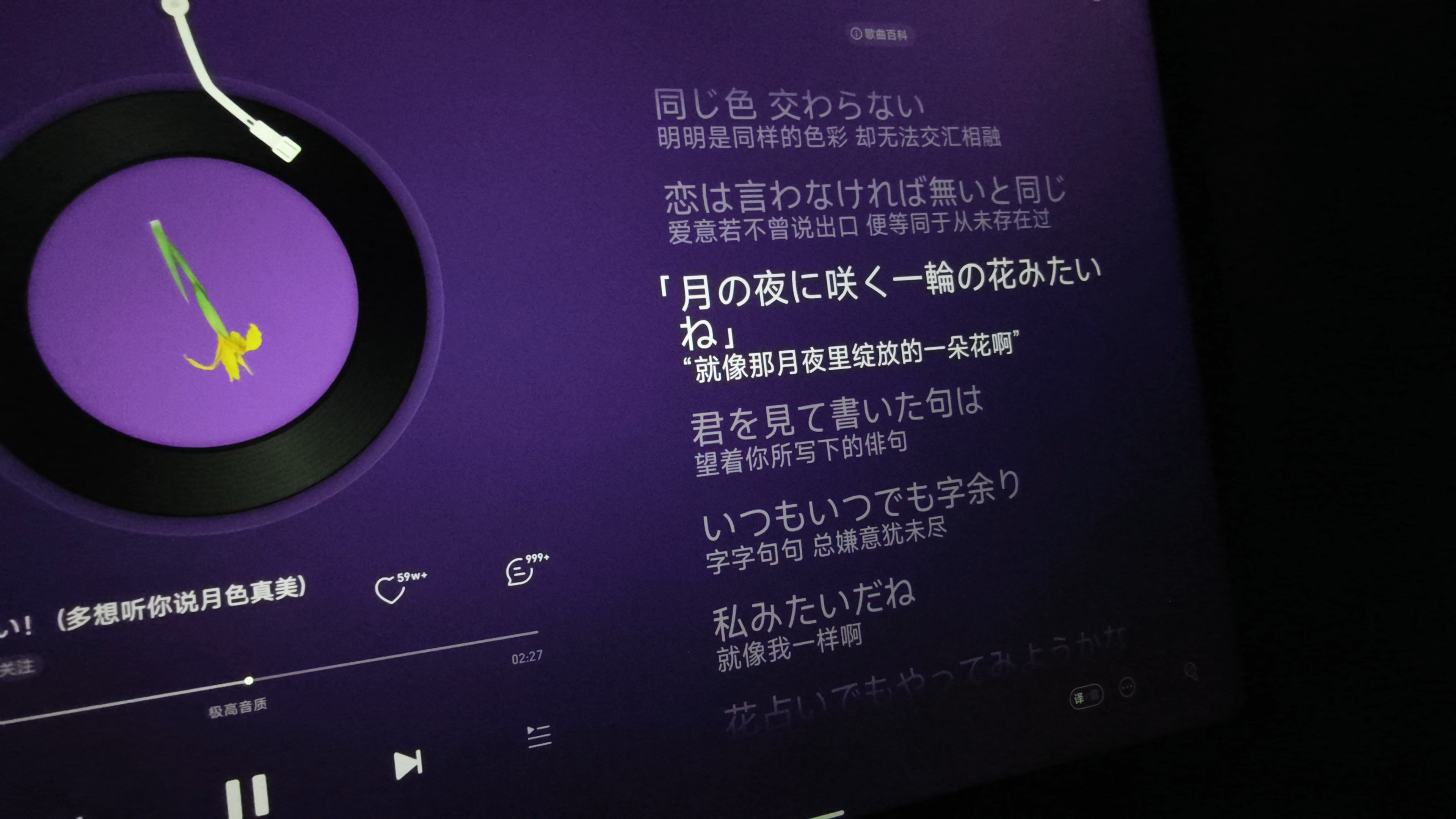 月色真美
