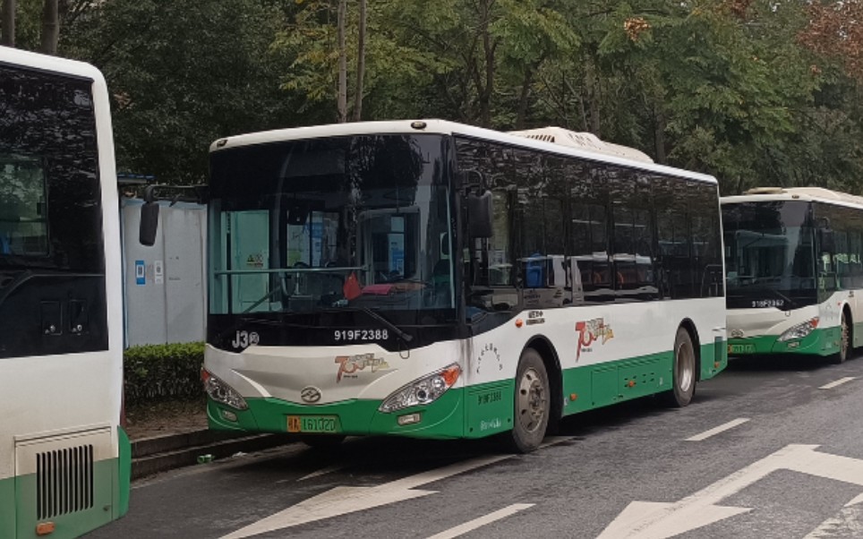 【pov第七季-3】武汉公交 j3n(江夏3路内环)全程前方展望_哔哩哔哩