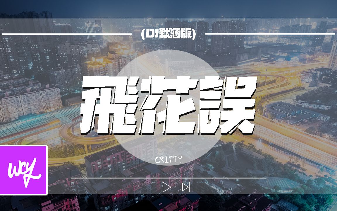 [图]CRITTY - 飞花误 (DJ默涵版)「说书人称改了结局是负心的书生 笑浮生 葬平生」【動態歌詞/pīn yīn gē cí】#CRITTY #飞花误 #動態