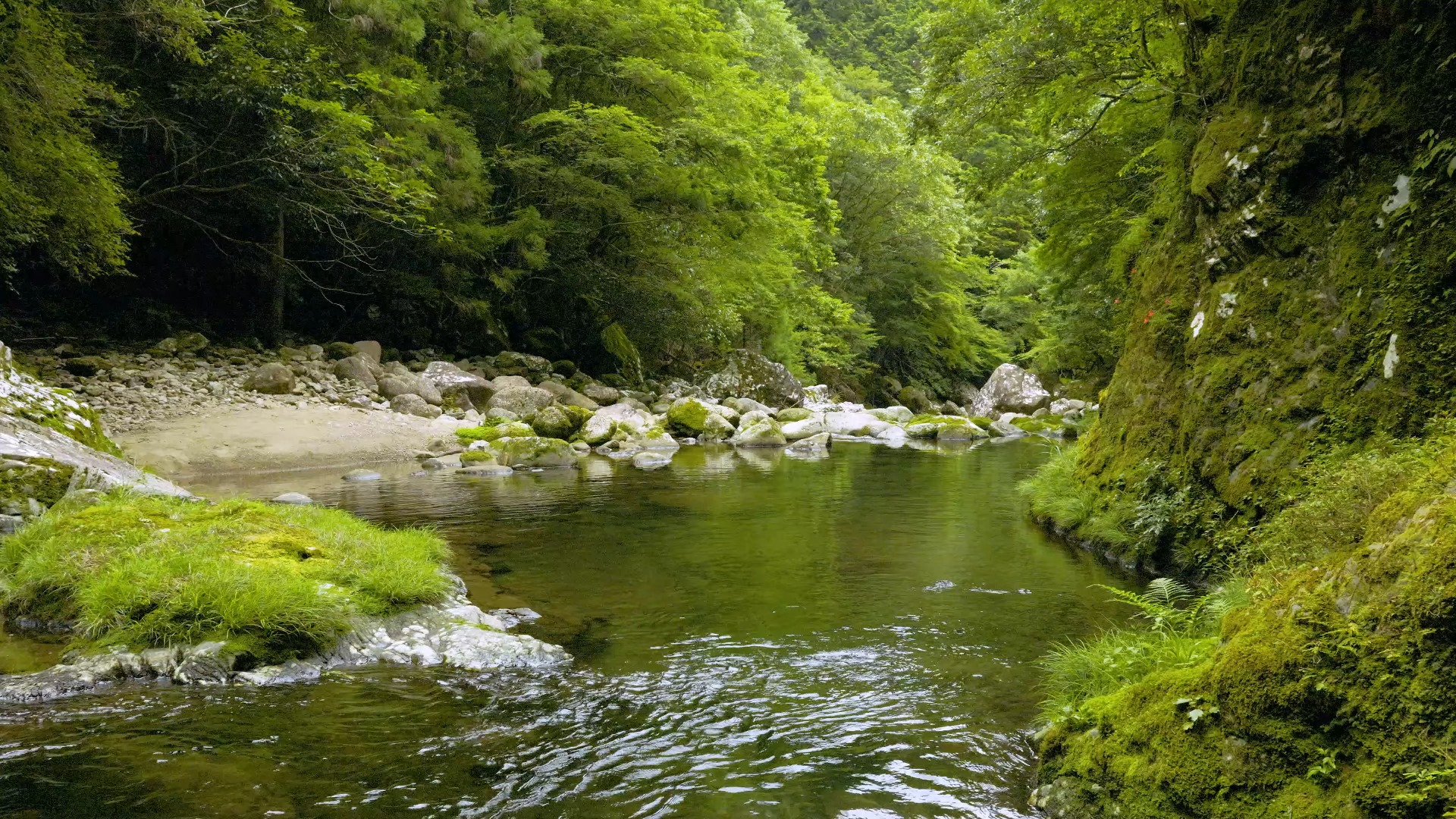 山间小溪的流水声