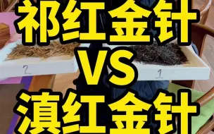 Download Video: 祁红金针与滇红金针有啥区别？实物对比一目了然！