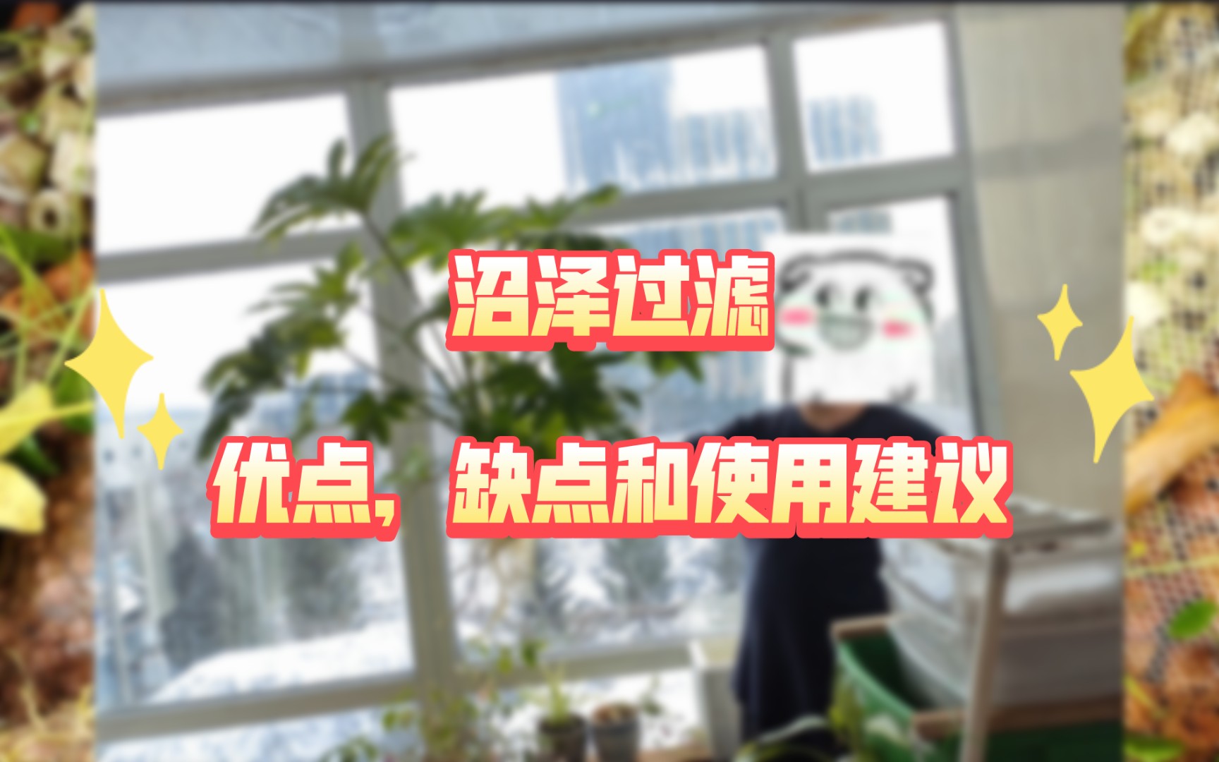 沼泽过滤:优点,缺点和使用建议哔哩哔哩bilibili