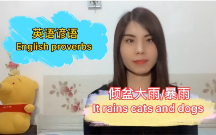 英语生活谚语,it rains cats and dogs/天空下猫下狗?这样翻译对吗?哔哩哔哩bilibili