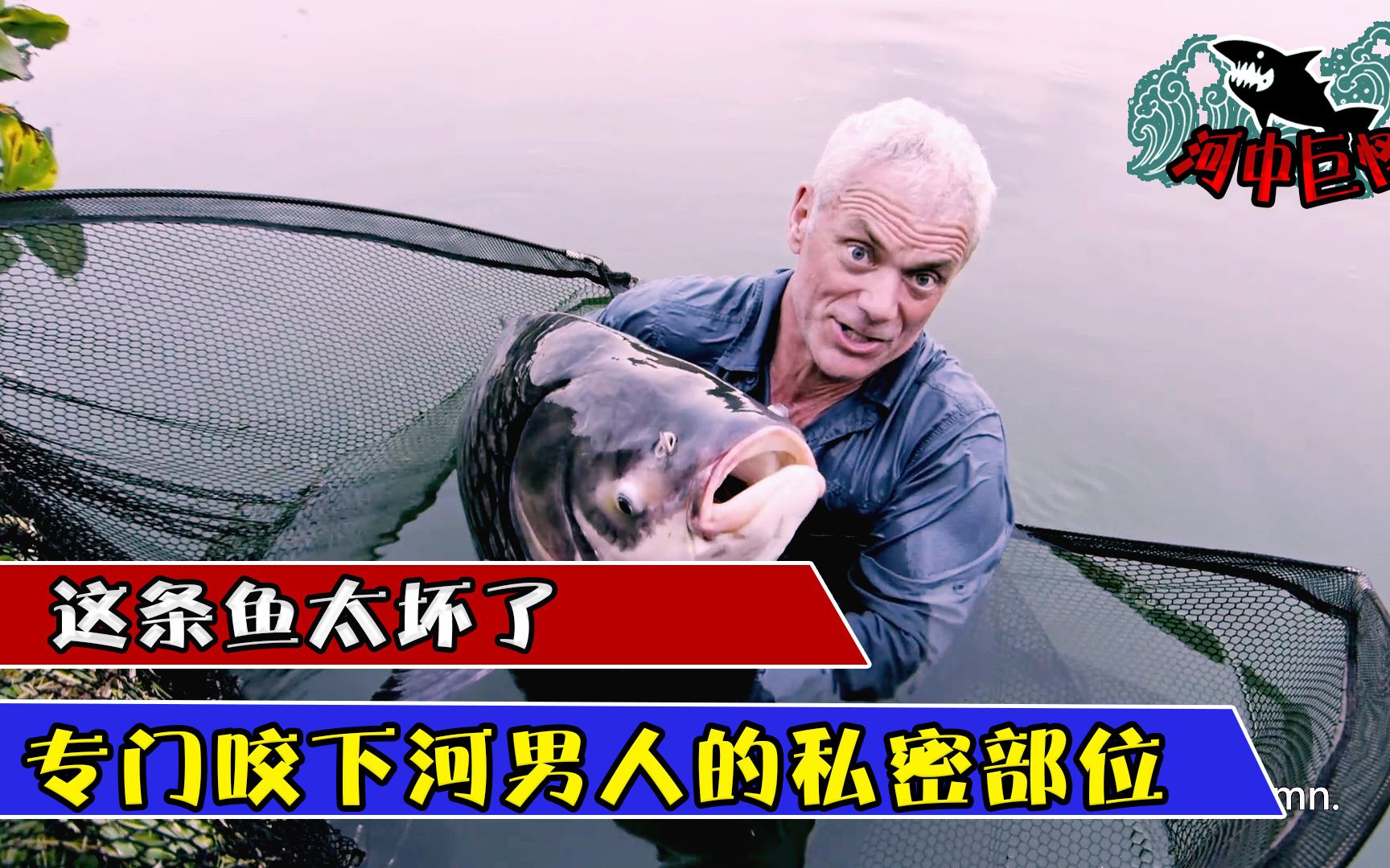 这种鱼真是太坏了专门咬男人的私密部位豆瓣92分纪录片