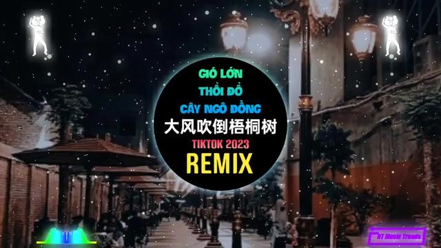 [图]侯泽润 大风吹倒梧桐树 (DJ2023版)