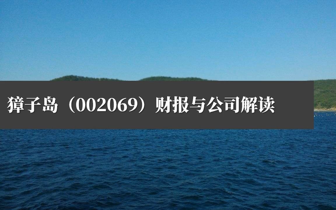 [图]上市公司财务报表分析案例22：獐子岛（002069）财报与公司解读