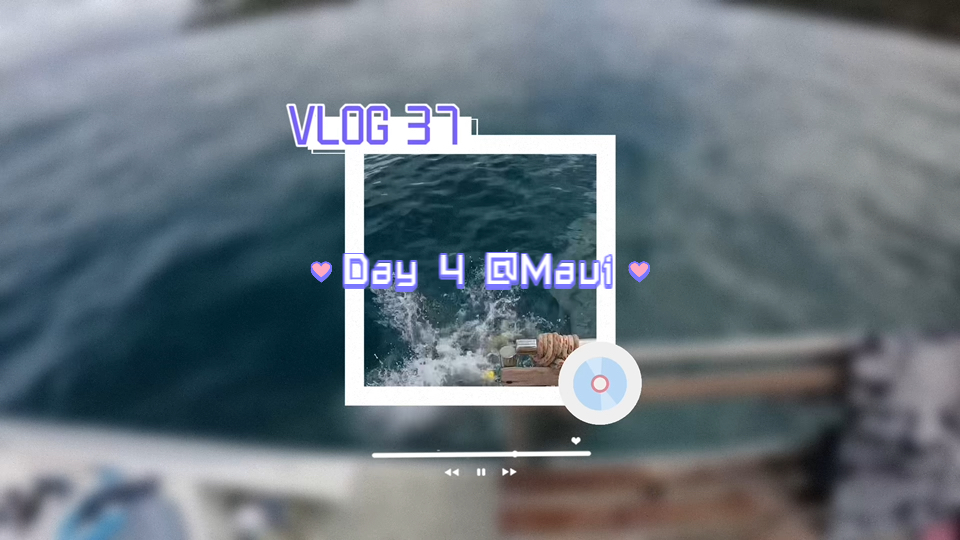 【VLOG#37|茂宜岛Day4】月亮湾浮潜Tour哔哩哔哩bilibili