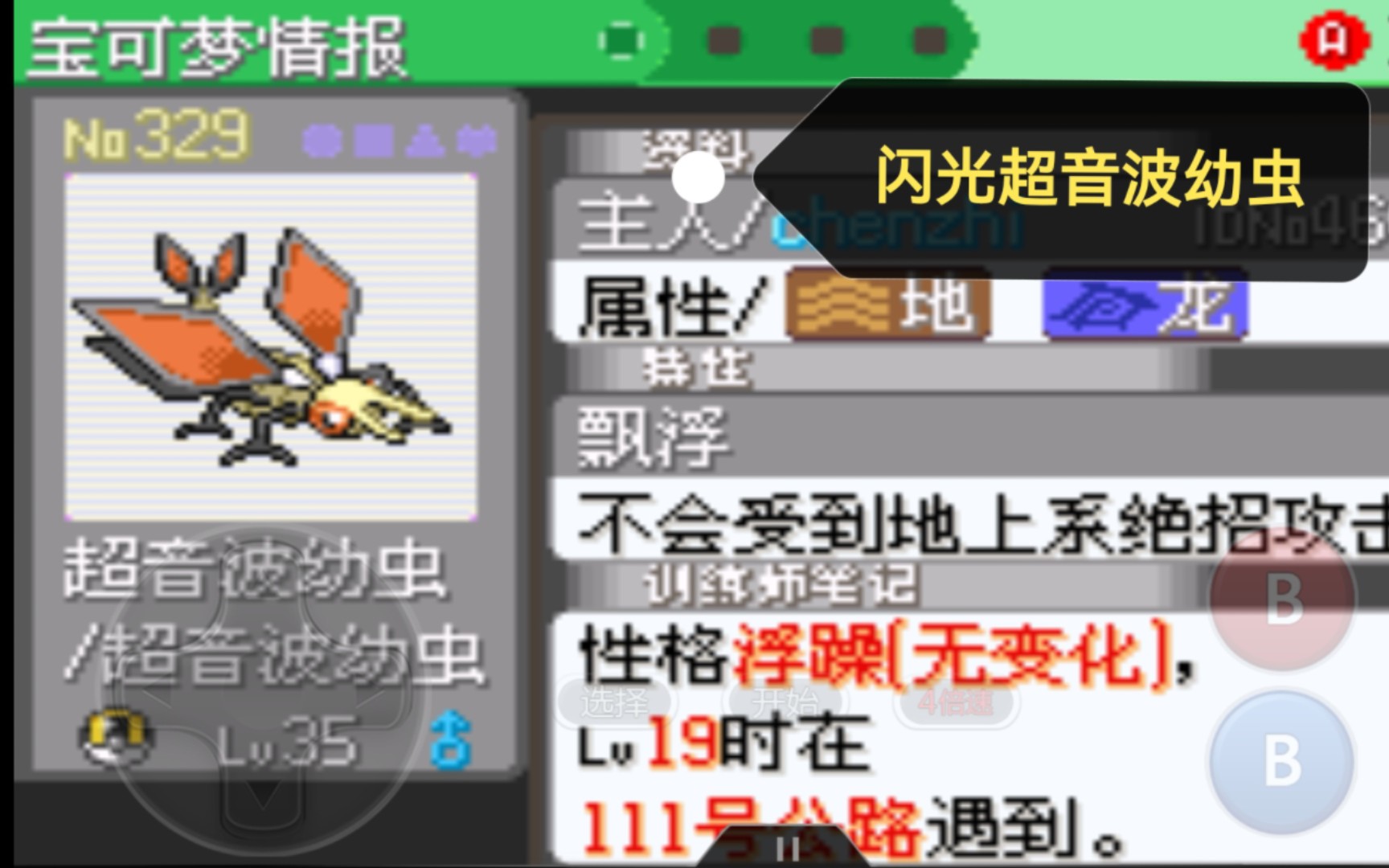 no.329 闪光超音波幼虫