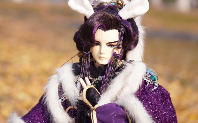 【金光布袋戏】【苍越孤鸣】【小偶日常】奇奇奇奇奇!