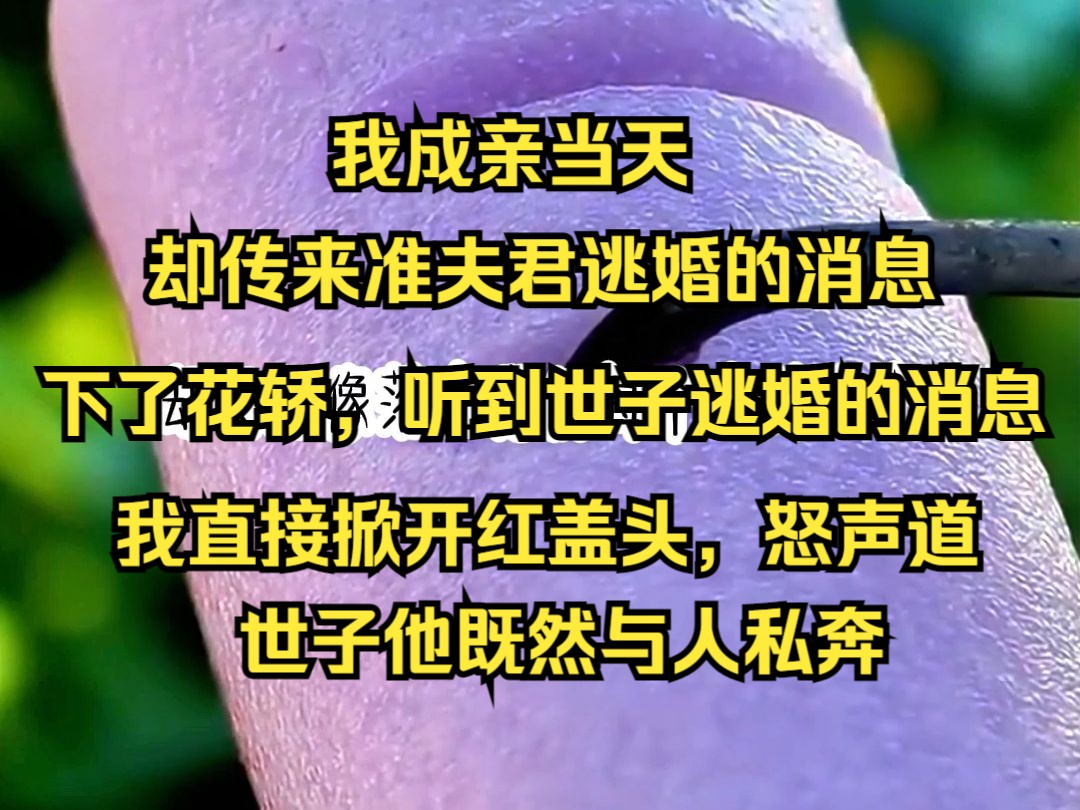 [图]深寒婚嫁04我成亲当天，却传来准夫君逃婚的消息，一气之下，我直接改嫁给了他爹。 下了花轿，听到世子逃婚的消息后，我直接掀开红盖头，怒声道，世子他既然与人私奔，在