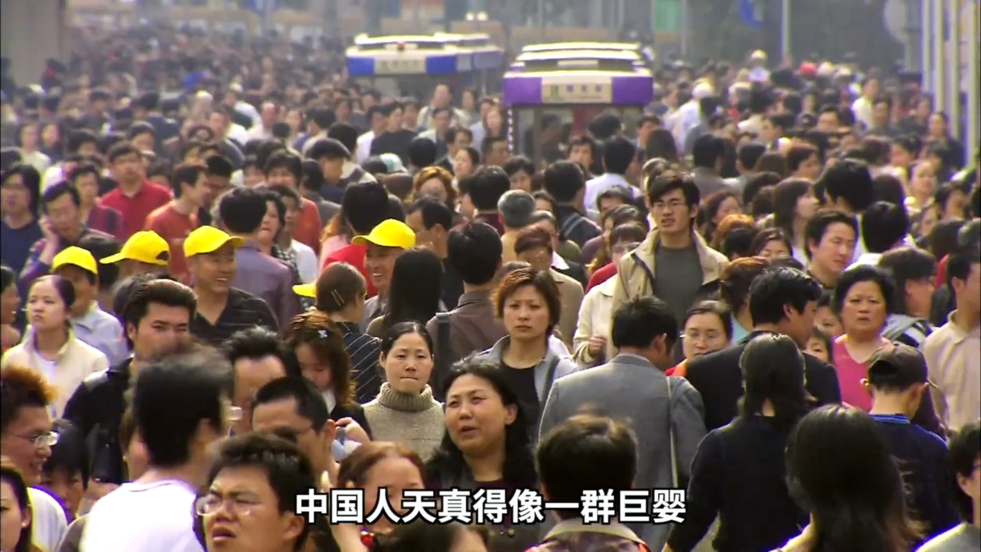 中国人都是一群宝宝，不知道有天敌的渡渡鸟？