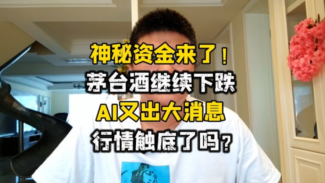 神秘资金来了!茅台酒继续下跌,AI又出大消息,行情触底了吗?哔哩哔哩bilibili