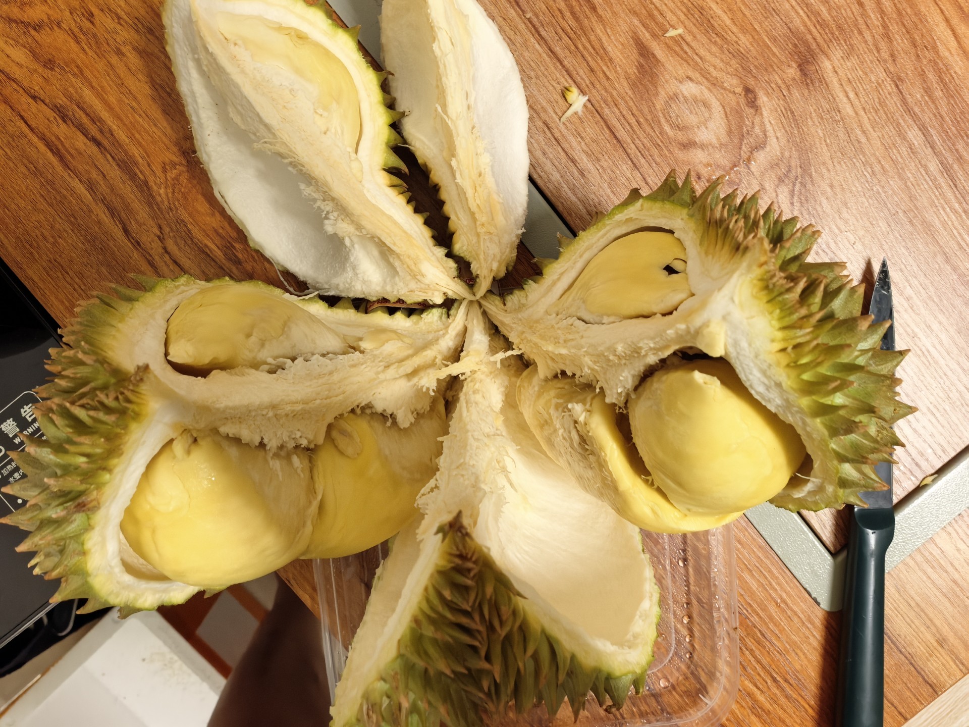 库存来榴莲视频,这次好像是个树熟金枕