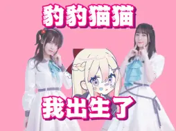 Download Video: 【花粉】豹豹猫猫我出生了