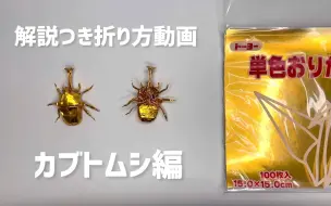 Download Video: 【Mushitarou's Origami】甲虫折纸制作教程 解説つきカブトムシの折り方　折り紙　カブトムシ　Origami beetle 折り方 tutori