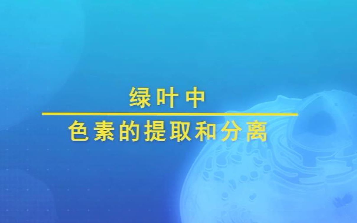 绿叶中色素的提取与分离哔哩哔哩bilibili