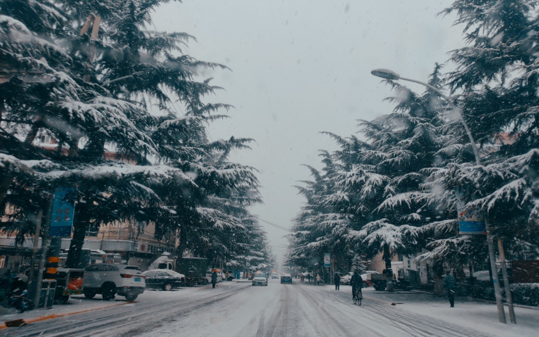 任贤齐『拯救心田(哎哟我的天)』