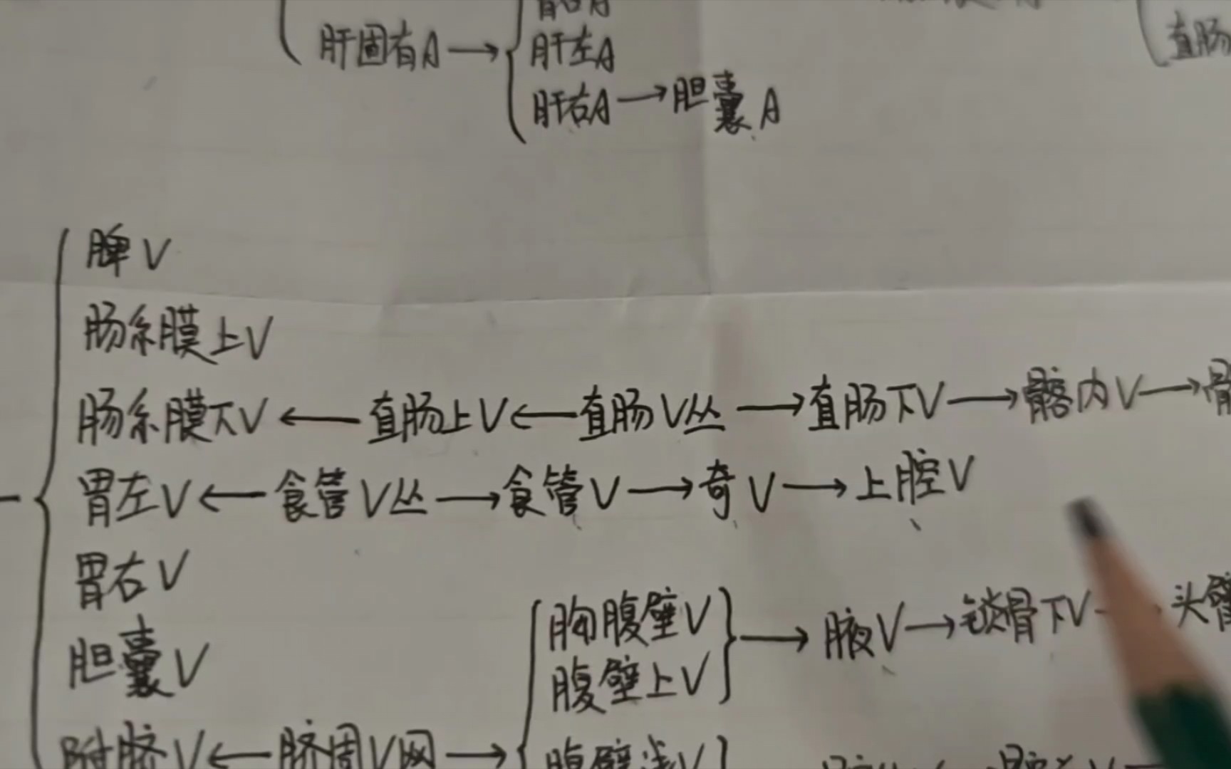 [从局部到整体]第3集:全身静脉的走形、属支、分布情况及淋巴循环简介哔哩哔哩bilibili